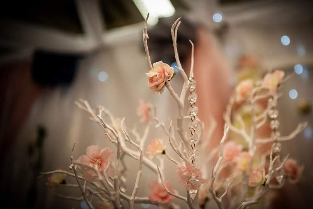 fb_img_1547360791601